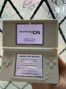 Nintendo Ds Lite and usb charger