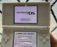 Nintendo Ds Lite and usb charger