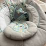 Ingenuity Baby Bouncer Image 6