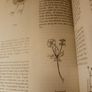 The Wicklow Way / A Natural History Field Guide/Ken Boyle & Orla Bourke/ 1990 Image 10