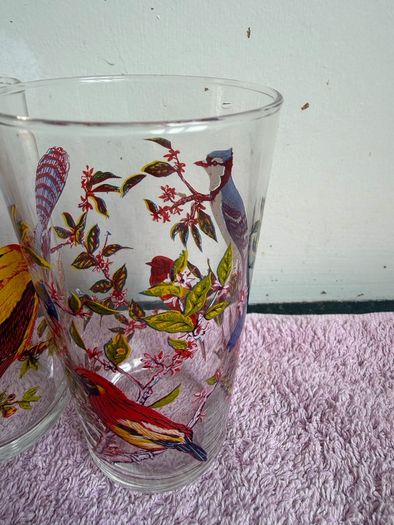 Vintage Set of 1960's Arcoroc Luminarc Exotic Bird Tumblers