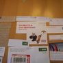 Big lot of cut pieces with Irish postmarks Image 6