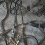 Equitation leathers etc Image 5