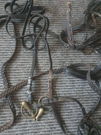 Equitation leathers etc