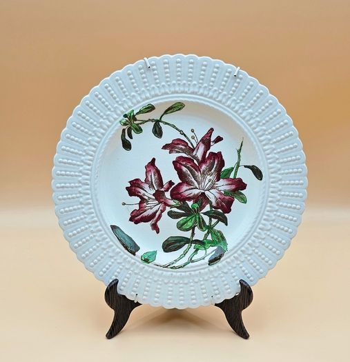Cauldon England Collectible Botanical Plates , Decorative Plate