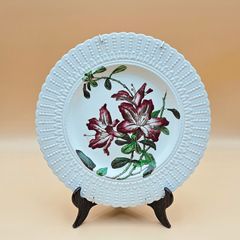 Cauldon England Collectible Botanical Plates , Decorative Plate