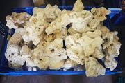 Premium Lime Rocks