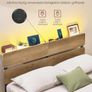 Double Bed Frame with LED Lighting USB A and USB-C Port Underbed Storage Metal Frame Image 4