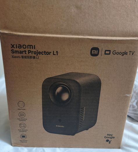 Projector