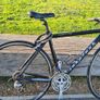 Adult Ridgeback 6061 t6 Image 5