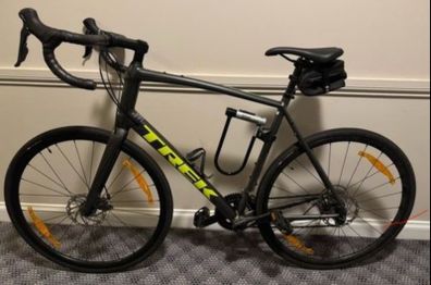 Trek Domane