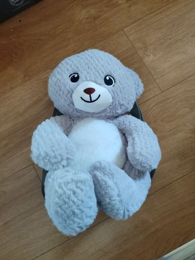 Teddy bear back pack bag (new)
