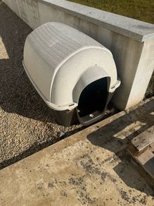 Dog House