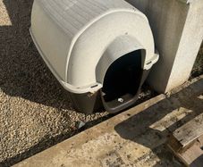 Dog House