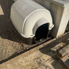Dog House