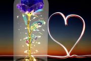 Romantic Rose for Women,, Rose in a Glass Dome with LED Light, Unique Gifts for Women, Glass Dome Galaxy Rose Home/Office or Home Decorations, Gift for Wife Women Mother MULTIPLE COLOURS AVAILABLE,  SEE PHOTOS (FREE POSTAGE)
