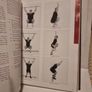Movement: Functional Movement Systems: Screening, Assessment and Corrective Strategies Image 10