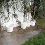 ELHO flower plant pot Image 3