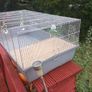 rabbit,  guinea pig cage Image 5