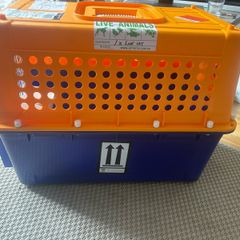 crate airline approved transport crate