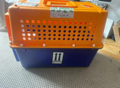 crate airline approved transport crate