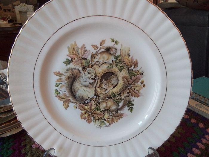 Rosewood China Collectors Plate With Squirrels