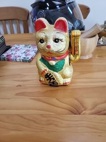 Money cat