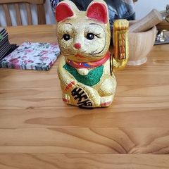 Money cat