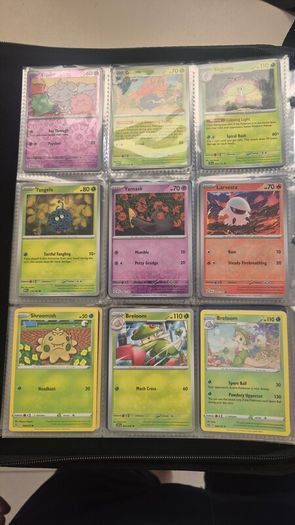 Pokemon Cards