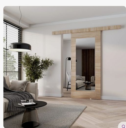 Mirrored sliding doors