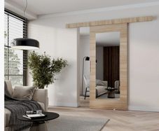 Mirrored sliding doors