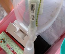 free items