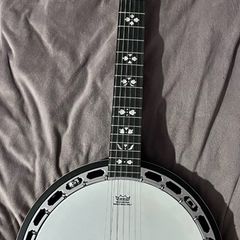 Harley Benton six string banjo
