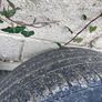 Audi wheels 20 Image 5