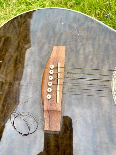 Harley benton guitar
