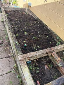 Top soil from raised bed