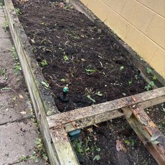 Top soil from raised bed