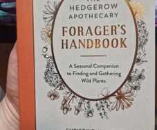 herbal gardening/apothecary