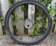 Roval Alpinist CL II Rear Wheel