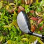 7 Wood Image 3