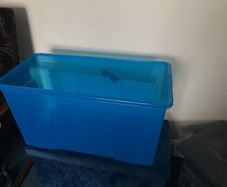 Extra Large Storage Box