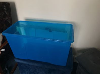 Extra Large Storage Box
