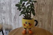 plant with plant holder