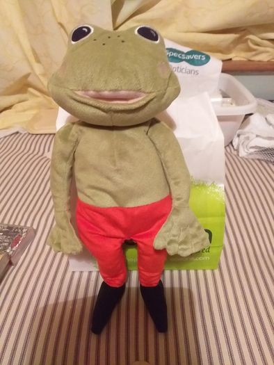 Freddie the Frog.