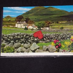 Northern Ireland Postcard : Farm In The Mourne Mountains , Co. Down