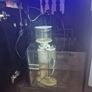 Fish tank Image 6