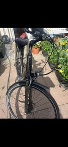 Giant entoure bike