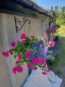 Hanging basket