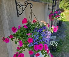 Hanging basket