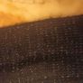 Black Glitter Scarf Image 2